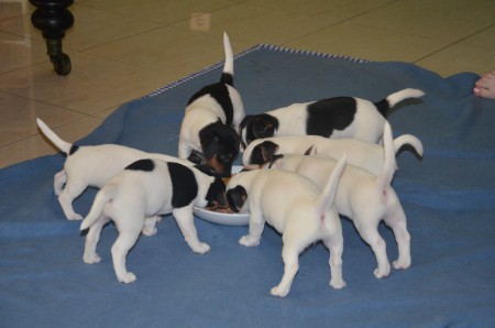 ...kleine Stärkung zwsichendurch darf nicht fehlen...