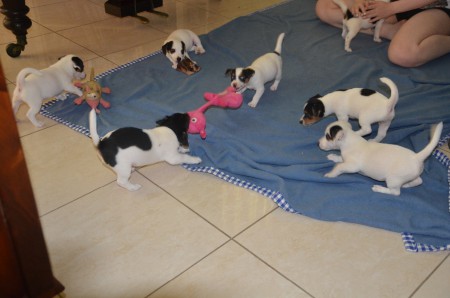 CENTURIO & CASSIOPEIA: "Kehrt euch, MARSCH!"