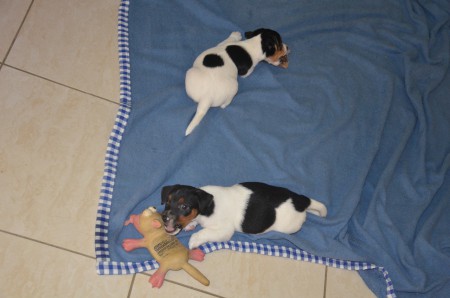 ...noch ein paar kleine CHARME-ützel... ;-)