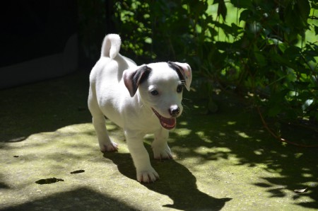 CENTURIO: "Oder bin ich ein HÜBSCHER?!?!"