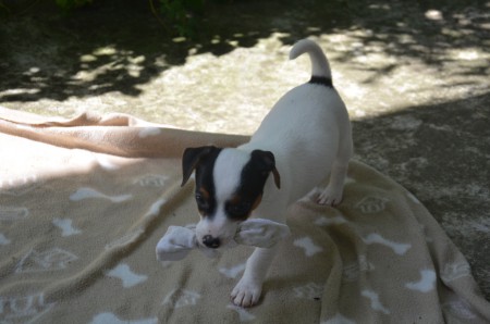 CHLOE: "Ich mach mich inzwischen auf die SOCKE(N)!"