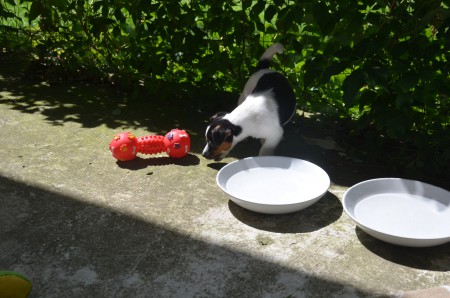 CLEOPATRA: "Spielzeug?!"