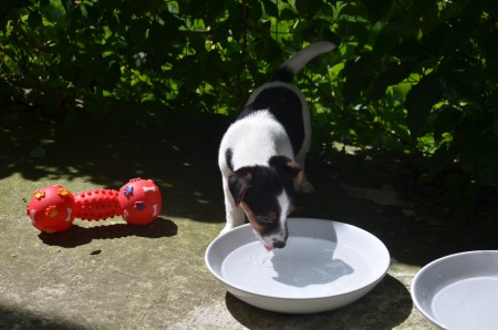 CLEOPATRA: "Oder trinken?!"