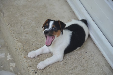 CLEOPATRA: "Siesta, ich komme!"