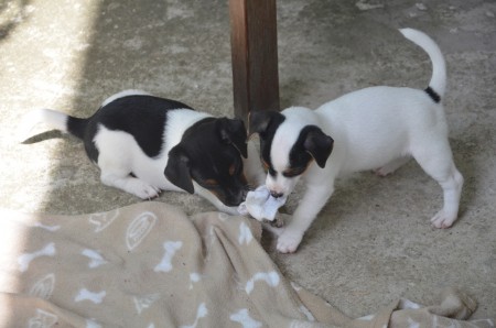 CONSTANTIN &amp; CHLOE: "Geteilte Socke ist doppelte Socke!"