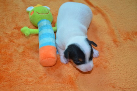 DAISY: "...such' ich nicht so schnell das Weite!"