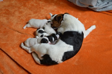 Raus aus der Wurfbox...