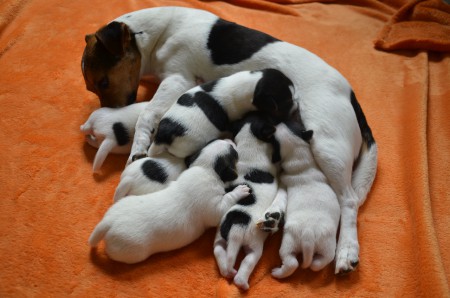 Ran an die Milch-Bar...