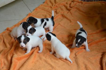 ...GESCHÜTTELT & GERÜHRT...