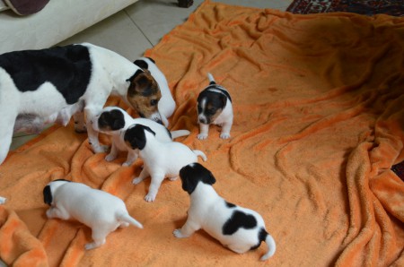 ...UND VON HUNDE-MAMA MARGE WIEDER KONTROLLIERT ;-)