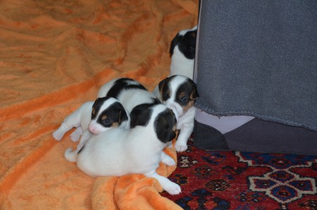 WENN WIR MÜDE WERDEN...