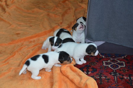 ...VERLAGERT SICH DIE ACTION...