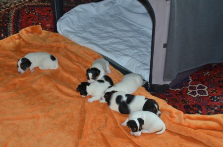 ...EINE RUNDE POWER-NAPPING DRAN!