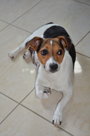 "ALLES SCHLÄFT, EINSAM WACHT..." - ICH HABE MEINE SACHE GUT GEMACHT, ODER?!