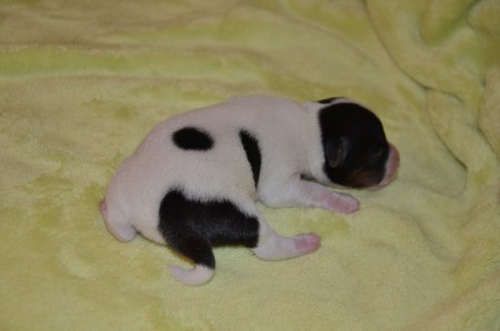 Übrigens: wenn man ERAGON verkleinert, wird EGON draus ;-)