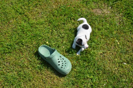 ...bevor EMIL mit diesem seltsamen Ding Kontakt aufnimmt...