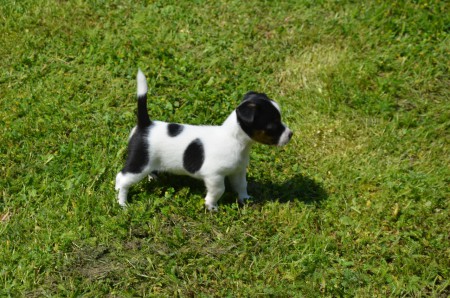 ...daneben wirft sich ERAGON in Modell-Pose 1...