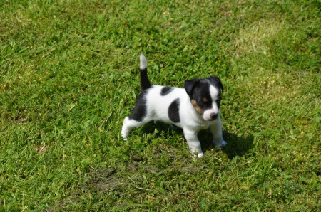 ...dann zeigt ERAGON Modell-Pose 2...